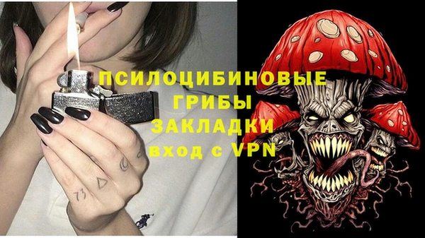 прущие крисы Богородск
